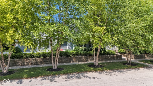 900 W Busby St, Lebanon, IN 46052 - obstructed view of property featuring a front lawn