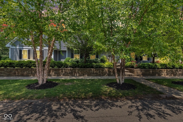 900 W Busby St, Lebanon, IN 46052 - view of property hidden behind natural elements featuring a front lawn