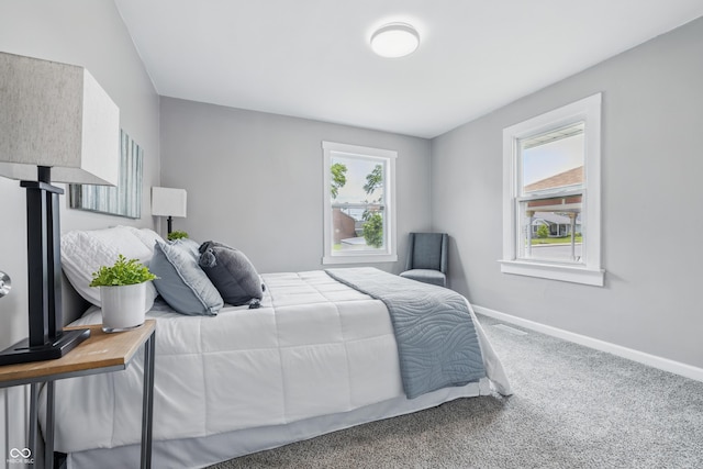 3906 Fletcher Ave, Indianapolis, IN 46203 - bedroom with carpet and baseboards