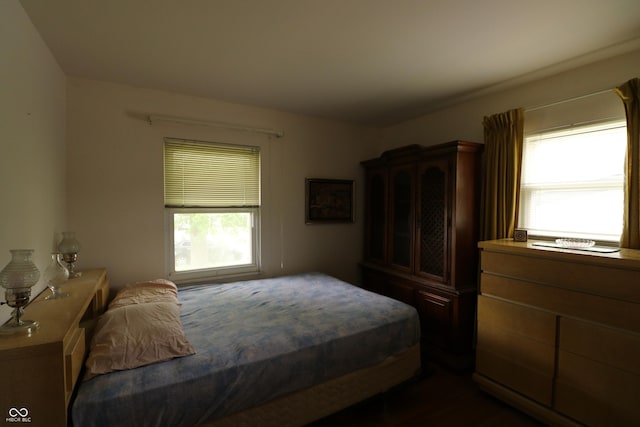 1713 Boca Raton Blvd, Kokomo, IN 46902 - bedroom with multiple windows