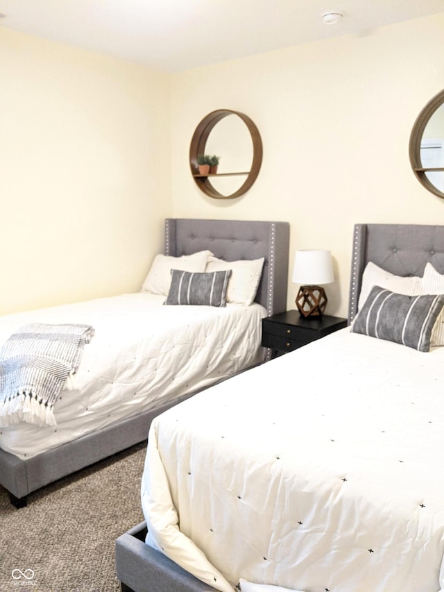 10421 Sand Creek Blvd, Fishers, IN 46037 - view of carpeted bedroom