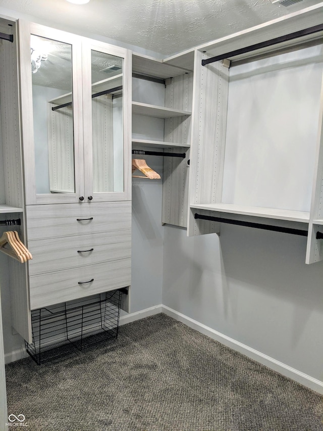 10421 Sand Creek Blvd, Fishers, IN 46037 - walk in closet featuring carpet floors
