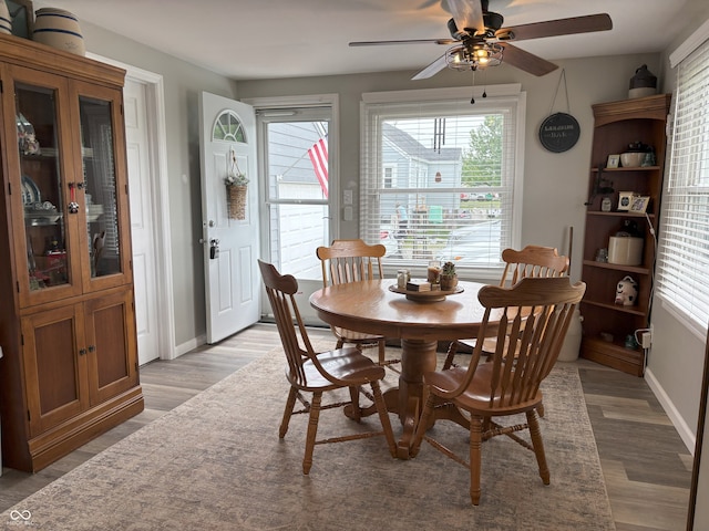 260 S 250 W, Greenfield, IN 46140 - dining space featuring a ceiling fan, plenty of natural light, and light wood finished floors