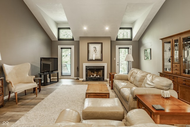 4428 Edinburgh Pt, Indianapolis, IN 46228 - living room with light wood finished floors, healthy amount of natural light, recessed lighting, and a fireplace with raised hearth