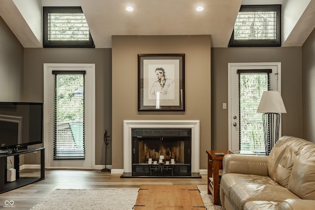 4428 Edinburgh Pt, Indianapolis, IN 46228 - living room featuring wood finished floors, plenty of natural light, recessed lighting, baseboards, and a fireplace with raised hearth