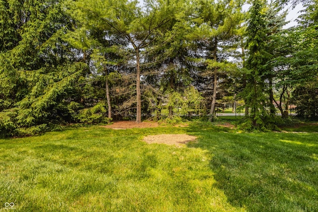 4428 Edinburgh Pt, Indianapolis, IN 46228 - view of yard