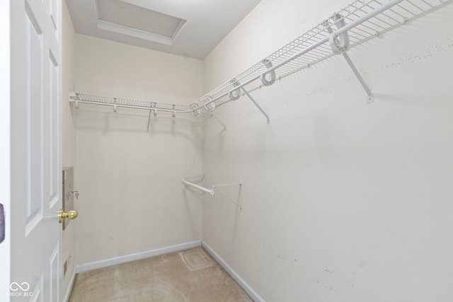 11036 Ravenna Way, Indianapolis, IN 46236 - walk in closet with attic access and light colored carpet