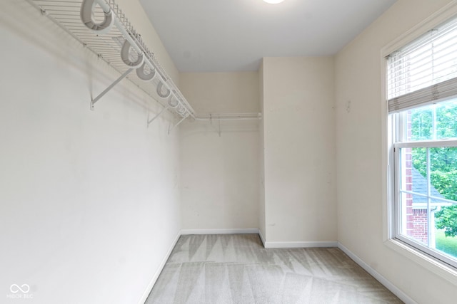 11036 Ravenna Way, Indianapolis, IN 46236 - spacious closet featuring light carpet