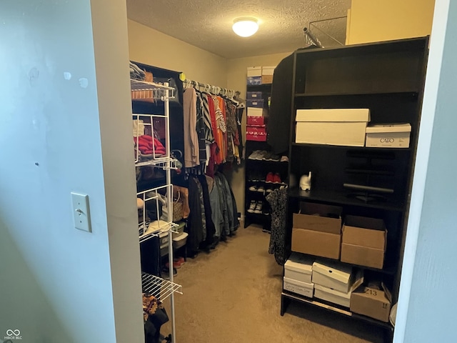 2253 Jaybird Dr, Greenfield, IN 46140 - spacious closet featuring carpet flooring