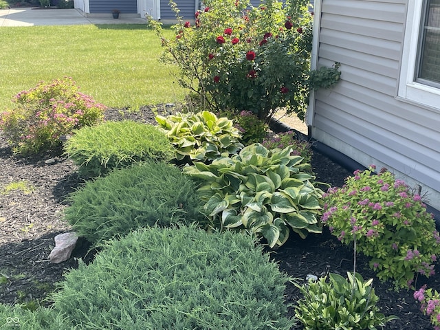 2253 Jaybird Dr, Greenfield, IN 46140 - view of green lawn