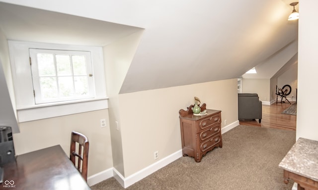 5024 N Kenwood Ave, Indianapolis, IN 46208 - additional living space with carpet floors, baseboards, and vaulted ceiling