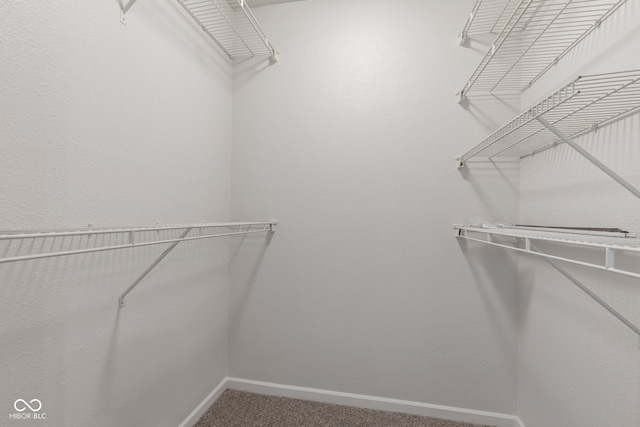 2270 Collins Way, Greenfield, IN 46140 - spacious closet featuring carpet