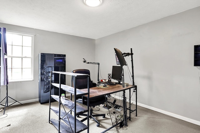 1264 Black Oak Dr, Greenwood, IN 46143 - office space with baseboards, healthy amount of natural light, a textured ceiling, and carpet flooring