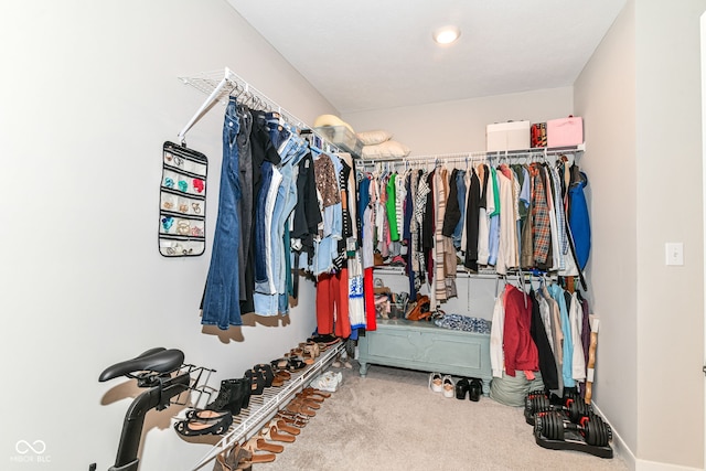 8263 Bryce Blvd, Pendleton, IN 46064 - spacious closet with carpet flooring