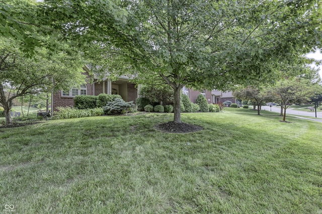 2553 Forest Hills Blvd, Greenwood, IN 46143 - view of grassy yard