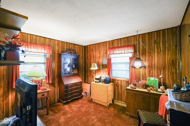 623 Circle Ct, Whiteland, IN 46184 - home office featuring dark carpet and wood walls