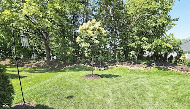 5686 Ellie Ct, Noblesville, IN 46062 - view of green lawn