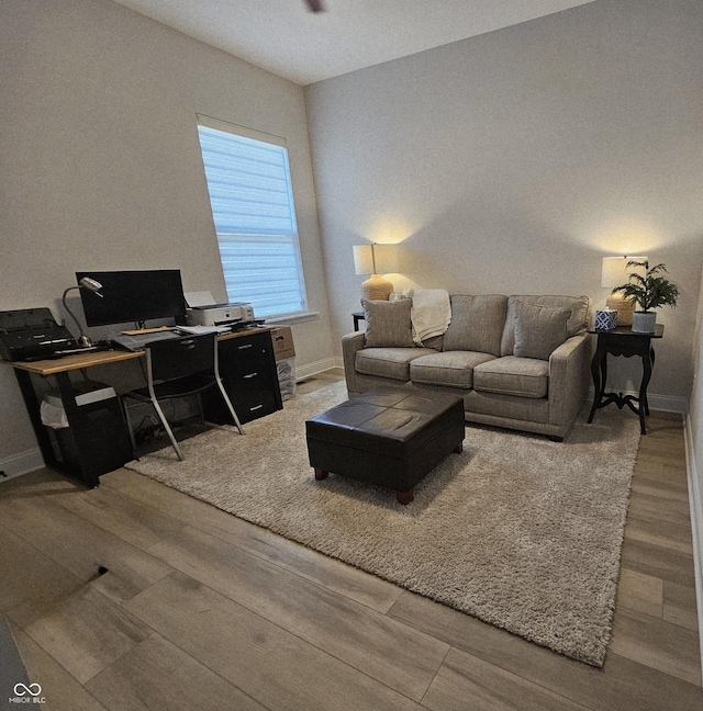 5686 Ellie Ct, Noblesville, IN 46062 - living area featuring wood finished floors, an office area, and baseboards