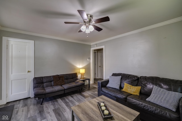 321 S Biltmore Ave, Indianapolis, IN 46241 - photo 7