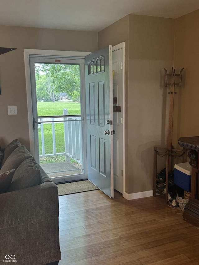 800 N Walnut Hls, Crawfordsville, IN 47933 - foyer entrance featuring wood finished floors and baseboards