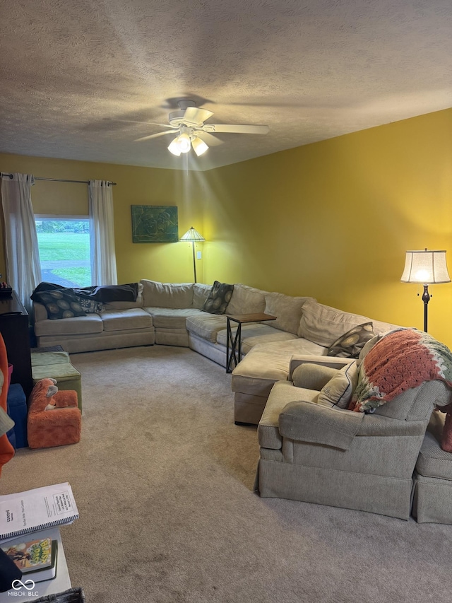 800 N Walnut Hls, Crawfordsville, IN 47933 - living room with carpet flooring, ceiling fan, and a textured ceiling