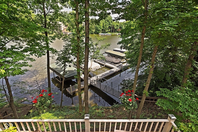 8133 Lower Bay Ln, Indianapolis, IN 46236 - water view with a dock