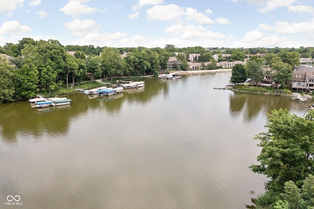 8133 Lower Bay Ln, Indianapolis, IN 46236 - water view featuring a floating dock