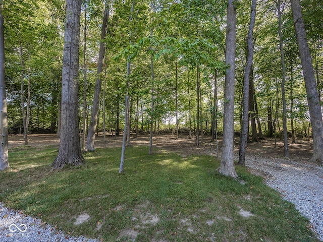 2004 Layton Rd, Anderson, IN 46011 - view of green lawn