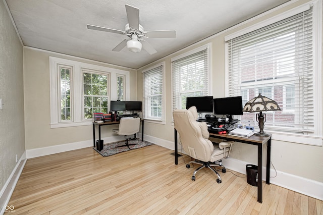 8436 E 56th St, Indianapolis, IN 46216 - office space with wood finished floors, ceiling fan, a textured ceiling, and a textured wall