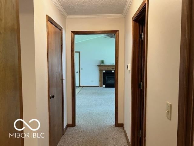 9451 S Amanda Dr, Claypool, IN 46510 - corridor featuring light colored carpet, a textured ceiling, baseboards, and crown molding