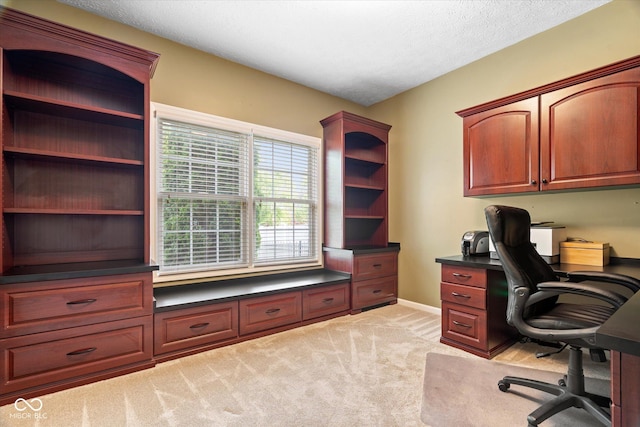 15515 Alameda Pl, Westfield, IN 46074 - office with light carpet, baseboards, and a textured ceiling