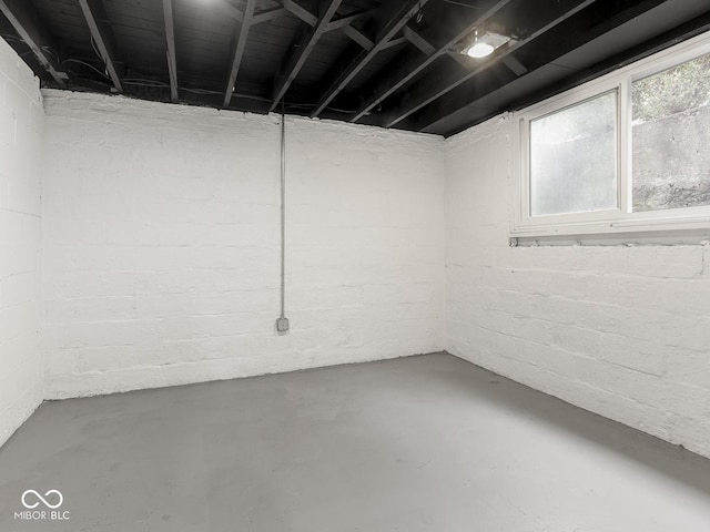 4455 Central Ave, Indianapolis, IN 46205 - view of below grade area