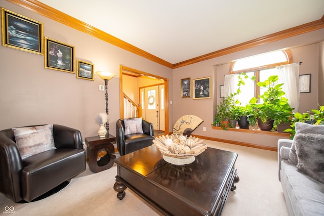 1145 Forest Commons Dr, Avon, IN 46123 - living area featuring carpet flooring, crown molding, stairway, and baseboards
