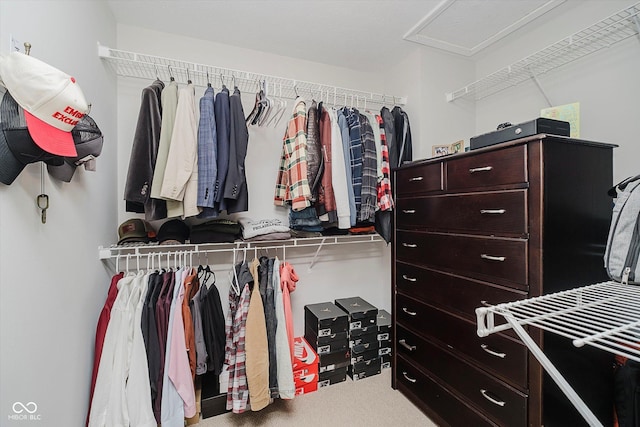 755 Ivy Ln, Carmel, IN 46032 - walk in closet with carpet floors and attic access