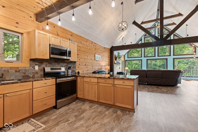 2540 S Annapolis Rd, Rockville, IN 47872 - kitchen with stainless steel appliances, a peninsula, open floor plan, plenty of natural light, and wood walls