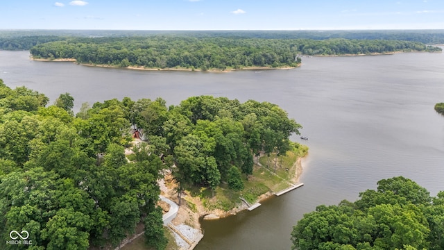 2540 S Annapolis Rd, Rockville, IN 47872 - bird's eye view of a heavily wooded area and a nearby body of water