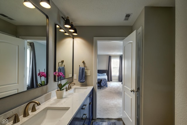 19187 Outer Bank Rd, Noblesville, IN 46062 - ensuite bathroom with double vanity and a textured ceiling