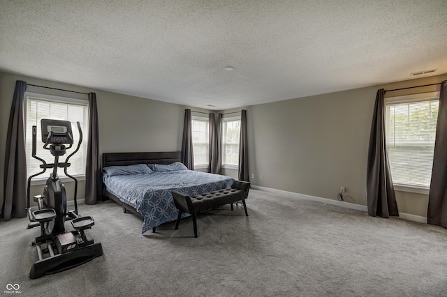 19187 Outer Bank Rd, Noblesville, IN 46062 - carpeted bedroom featuring a textured ceiling, multiple windows, and baseboards