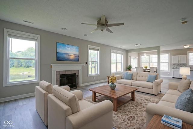 12382 Cool Winds Way, Fishers, IN 46037 - living room with ceiling fan, baseboards, light wood finished floors, and a fireplace