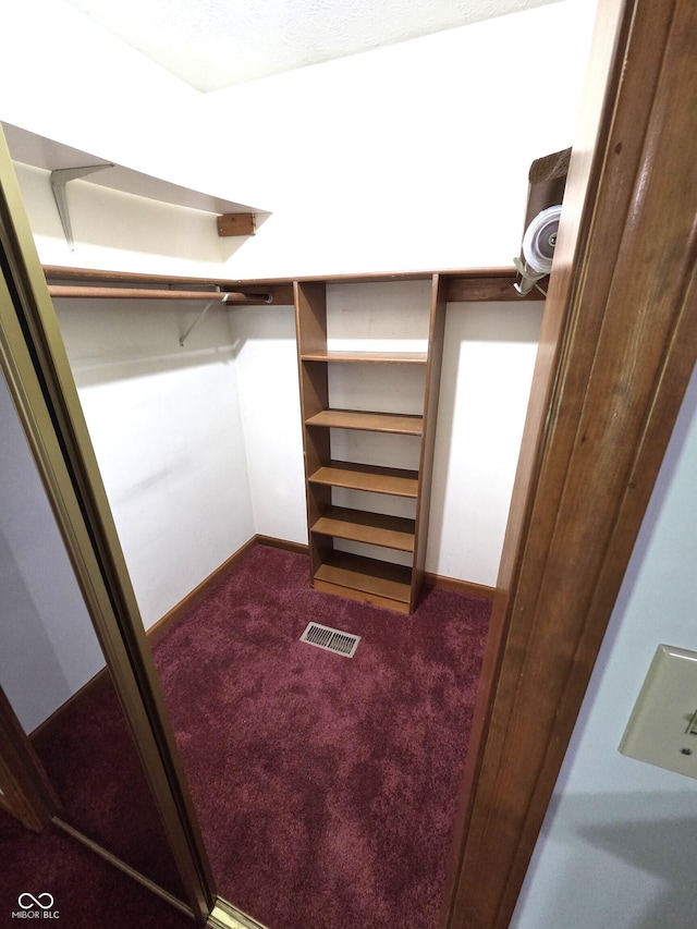 1201 Briarwood Dr, Brownsburg, IN 46112 - walk in closet featuring dark carpet