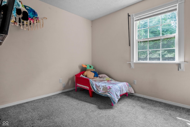 5811 Simmul Cir, Indianapolis, IN 46221 - bedroom with carpet, multiple windows, a textured ceiling, and baseboards
