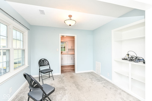 713 W Cromer Ave, Muncie, IN 47303 - living area with carpet floors and built in shelves