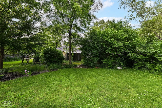 713 W Cromer Ave, Muncie, IN 47303 - view of green lawn