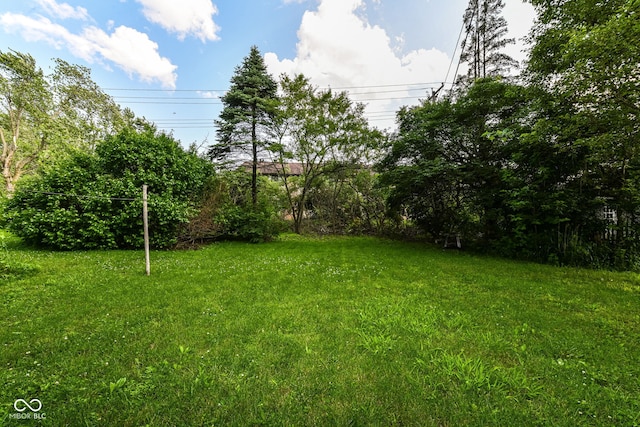 713 W Cromer Ave, Muncie, IN 47303 - view of grassy yard