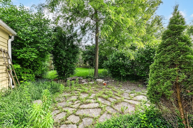 713 W Cromer Ave, Muncie, IN 47303 - view of yard