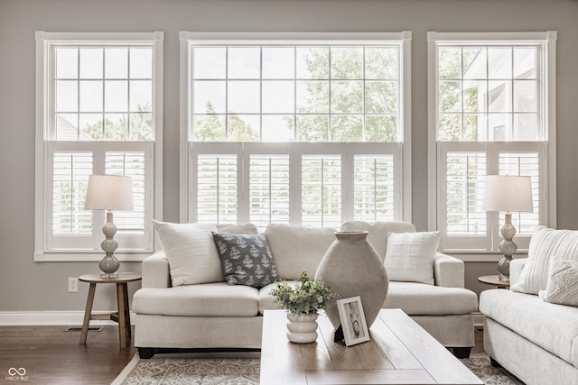 6685 Chapel Xing, Zionsville, IN 46077 - living room featuring healthy amount of natural light and wood finished floors