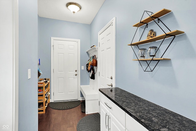 2789 W High Grove Cir, Zionsville, IN 46077 - mudroom featuring dark wood-style floors