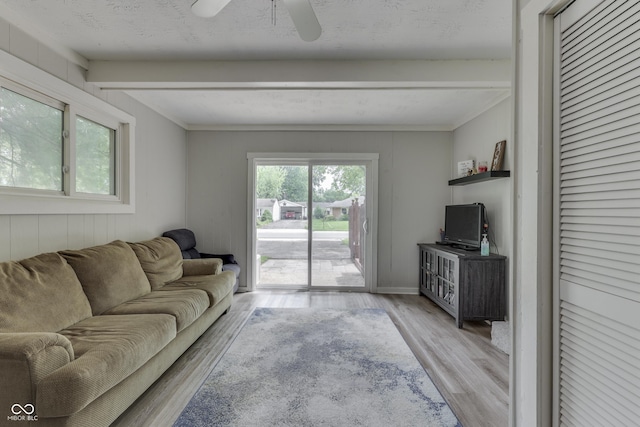 724 Alexander St, Greenwood, IN 46143 - living area featuring wood finished floors, ceiling fan, and beam ceiling