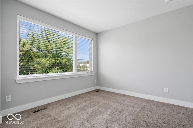 1009 N Park Ave, Indianapolis, IN 46202 - photo 17