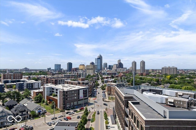 1009 N Park Ave, Indianapolis, IN 46202 - photo 44